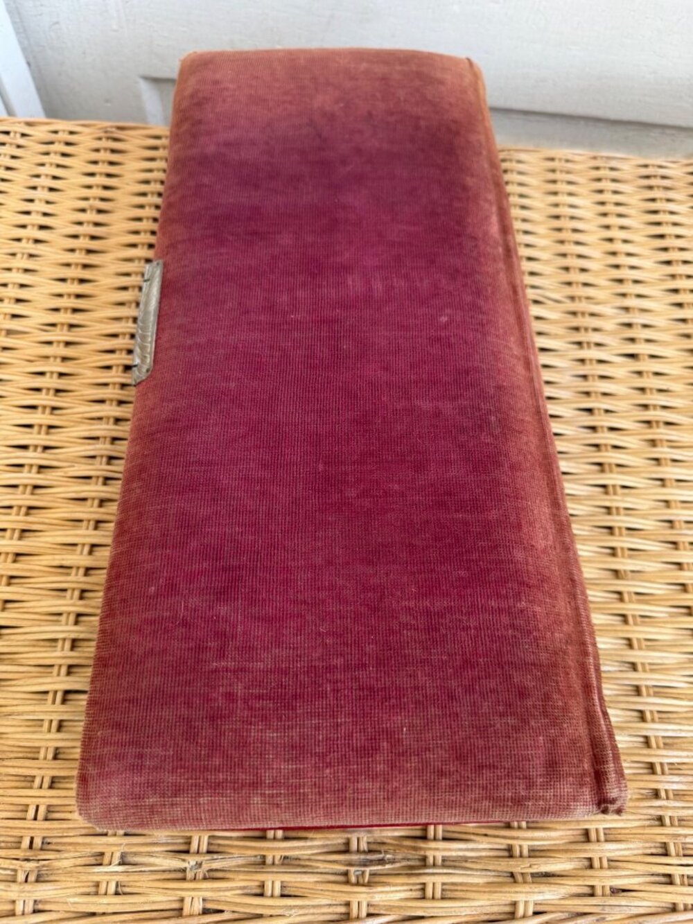 Antique 1880s Red Celluloid Velvet Photo cabinet Album - Picture 5 of 12